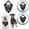 Show in main carousel: Pets First NCAA Purdue Boilermakers Personalized Dog Bandana, Small/Medium slide 4 of 6