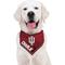 Show in main carousel: Pets First NCAA Indiana Hoosiers Personalized Dog Bandana, Large/X-Large slide 6 of 6