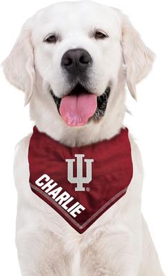Show full view: Pets First NCAA Indiana Hoosiers Personalized Dog Bandana, Large/X-Large slide 6 of 6