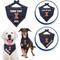 Show in main carousel: Pets First NCAA Illinois Fighting Illini Personalized Dog Bandana, Large/X-Large slide 3 of 5