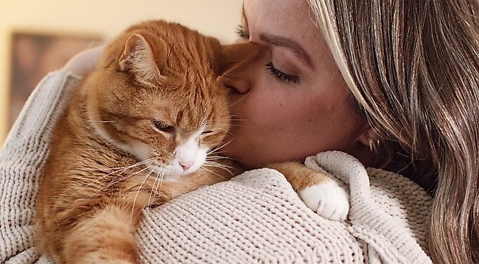 Pet Honesty Dual Texture Chicken Flavored Immune Support Lysine Chews for Cats, 2 + Pet Honesty Dual Texture Chicken Flavored Multivitamin Omega-3 & Lysine Chews for Cats, 2