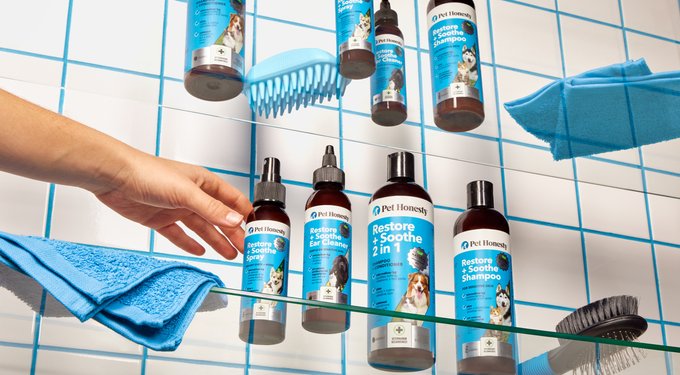 PetHonesty Chlorhexidine Antibacterial Cleansing & Odor Remover Dog Shampoo, 16-oz bottle