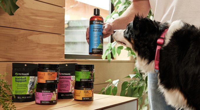 PetHonesty Allergy Support Salmon Flavored Soft Chews Allergy & Itch Relief Supplement for Dogs