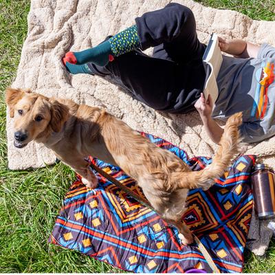 Show full view: Wingo Outdoors Trixie Dog Pack Bed, 40 x 27 inches, Brown Trout 2022 slide 5 of 6