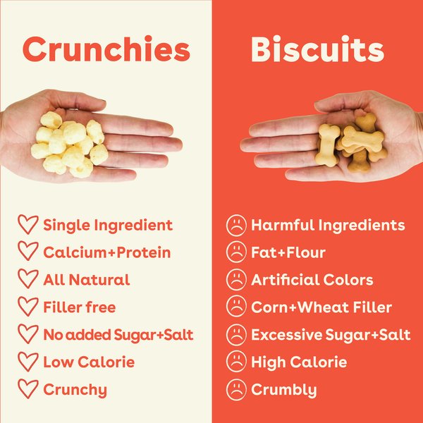 Pupford Gouda Crunchies Human-Grade Limited Ingredient Gouda Cheese Flavored Crunchy Dog Treats