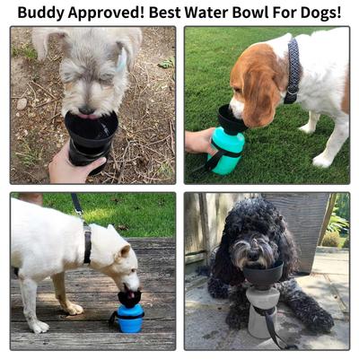 Show full view: LESOTC Portable Squeeze Dog Water Bottle, 18-oz slide 6 of 6