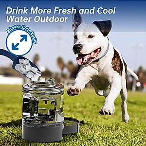 LESOTC Travel Gravity Refill Dog Waterer, 9.6-cup