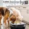 Show in main carousel: LESOTC Stainless Steel Dog Water Fountain, 10-liter slide 5 of 9