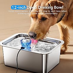 PetNF Stainless Steel Dog Water Fountain with 4 Filters, 3-gallon slide 2 of 8