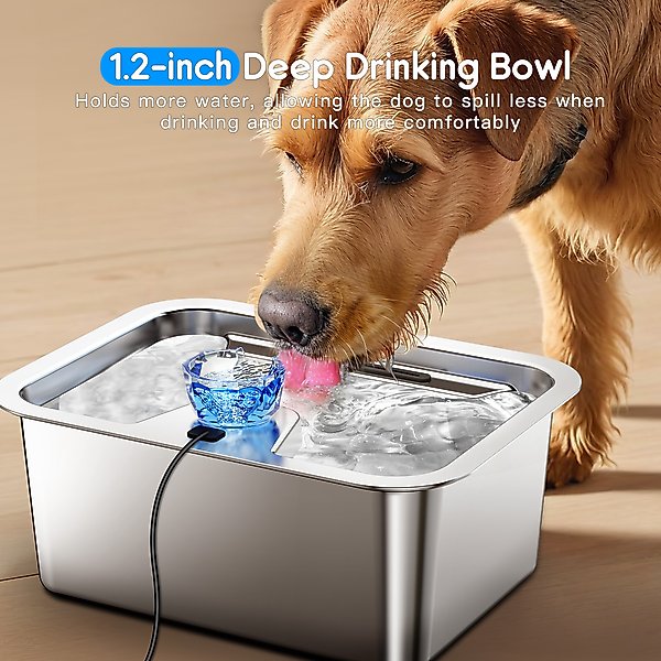 Show full view: PetNF Stainless Steel Dog Water Fountain with 4 Filters, 3-gallon slide 8 of 11