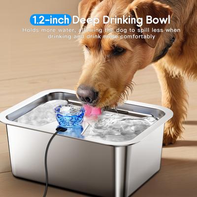 Show full view: PetNF Stainless Steel Dog Water Fountain with 4 Filters, 3-gallon slide 8 of 11