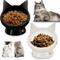 Show in main carousel: PetNF Slanted Elevated Cat Bowl, Black & White, 0.75-cup, 2 count slide 1 of 7