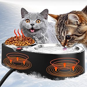 PetNF Thermostatic Heated Double Cat Bowl, 2-cup
