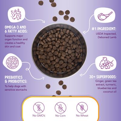 Show full view: Health Extension Lamb & Brown Rice Recipe Dry Dog Food, 1-lb bag slide 7 of 10