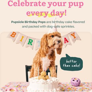 Woof Pupsicle Pops Refills Peanut Butter Birthday Lickable Dog Treats, Large, 7 count