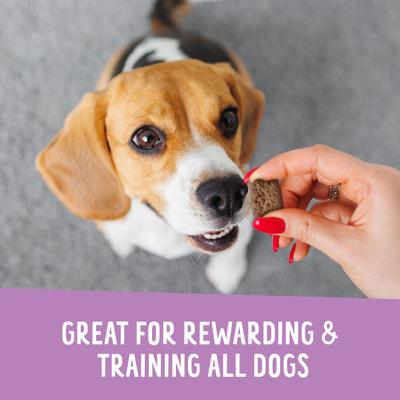 Show full view: Health Extension Crunchy Munchies Granola Bites Blueberry Ruffin Dog Treats, 5-oz bag slide 7 of 8