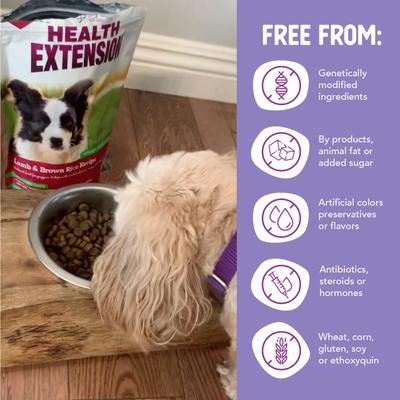 Show full view: Health Extension Lamb & Brown Rice Recipe Dry Dog Food, 1-lb bag slide 8 of 10