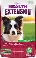 Health Extension Lamb & Brown Rice Recipe Dry Dog Food, 1-lb bag