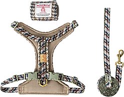 Chai's Choice Fashionable Harris Tweed Wool Dog Poop Bag Dispenser, Leash & Harness, Pesto, Small: 11 to 15-in chest