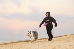 Chai's Choice Reflective Hands-Free Retractable Leash, Lavender/Gray, Small: 16-ft long, 1/3-in wide slide 2 of 9