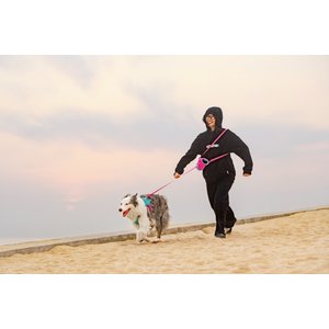 Chai's Choice Reflective Hands-Free Retractable Leash, Lavender/Gray, Small: 16-ft long, 1/3-in wide