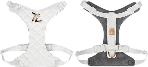 Show full view: Chai's Choice Stylish Dog Backpack, Leash & Harness, White, Large: 15 to 21.5-in chest slide 2 of 10