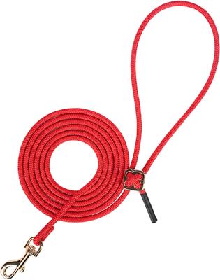 Show full view: Chai's Choice Stylish Dog Backpack, Leash & Harness, Red, Small: 11 to 15-in chest slide 3 of 10