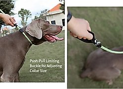 Chai's Choice Training Rope Dog Slip Leash, Large: 6-ft long, 7/16-in wide, Royal Blue slide 2 of 9