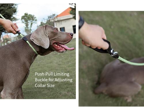 Show full view: Chai's Choice Training Rope Dog Slip Leash, Large: 6-ft long, 7/16-in wide, Light Green slide 9 of 10