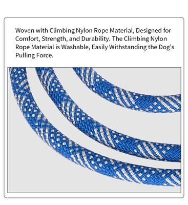 Show full view: Chai's Choice Training Rope Dog Slip Leash, Large: 6-ft long, 7/16-in wide, Light Green slide 4 of 10