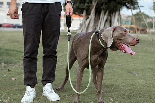 Show full view: Chai's Choice Training Rope Dog Slip Leash, Large: 6-ft long, 7/16-in wide, Black slide 9 of 9