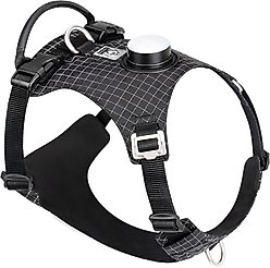 Chai's Choice Tracker Jacker Dog Harness, Black, Medium: 22 to 27-in chest