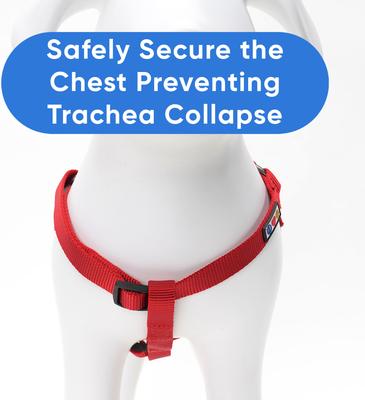 Show full view: Pawtitas Solid Personalized Dog Harness, Red, Large: 22 to 33-in chest slide 8 of 9