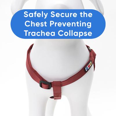 Show full view: Pawtitas Solid Personalized Dog Harness, Marsala Brown, Large: 22 to 33-in chest slide 8 of 9