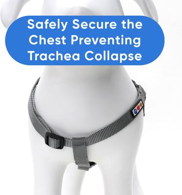 Show full view: Pawtitas Solid Personalized Dog Harness, Grey, Small: 14 to 21-in chest slide 8 of 9