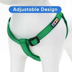 Pawtitas Solid Personalized Dog Harness, Lush Green, Large: 22 to 33-in chest slide 2 of 9