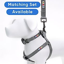Pawtitas Solid Personalized Dog Leash, Grey, Large: 6-ft long, 1-in wide slide 2 of 9