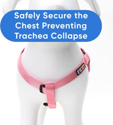 Show full view: Pawtitas Solid Personalized Dog Harness, Millennial Pink, X-Small: 10 to 15-in chest slide 8 of 9