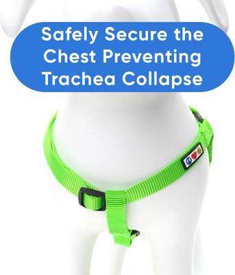 Show full view: Pawtitas Solid Personalized Dog Harness, Green, Large: 22 to 33-in chest slide 9 of 10