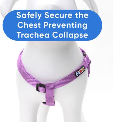 Show full view: Pawtitas Solid Personalized Dog Harness, Purple Orchid, Medium: 18 to 28-in chest slide 8 of 9