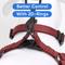 Show in main carousel: Pawtitas Solid Personalized Dog Harness, Marsala Brown, Large: 22 to 33-in chest slide 7 of 9