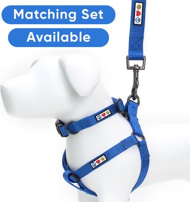 Show full view: Pawtitas Solid Personalized Dog Leash, Blue, XX-Small: 6-ft long, 3/8-in wide slide 9 of 10