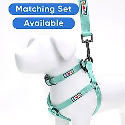 Pawtitas Solid Personalized Dog Harness, Teal, Small: 14 to 21-in chest slide 2 of 9