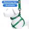 Show in main carousel: Pawtitas Solid Personalized Dog Leash, Lush Green, Large: 6-ft long, 1-in wide slide 9 of 10