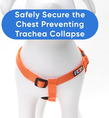 Show full view: Pawtitas Solid Personalized Dog Harness, Orange, Small: 14 to 21-in chest slide 8 of 9