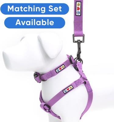 Show full view: Pawtitas Solid Personalized Dog Leash, Purple Orchid, XX-Small: 6-ft long, 3/8-in wide slide 9 of 10