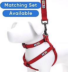 Pawtitas Solid Personalized Dog Harness, Red, Small: 14 to 21-in chest slide 2 of 9
