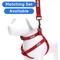 Show in main carousel: Pawtitas Solid Personalized Dog Leash, Red, Small: 6-ft long, 5/8-in wide slide 9 of 10