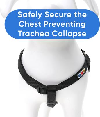 Show full view: Pawtitas Solid Personalized Dog Harness, Black, Large: 22 to 33-in chest slide 8 of 9