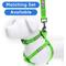 Show in main carousel: Pawtitas Solid Personalized Dog Harness, Green, Large: 22 to 33-in chest slide 10 of 10